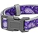 Blueberry Pet Soft & Comfy Paisley Flower Print Neoprene Padded Adjustable Dog Collar, Violet, Large, Neck 18
