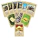 Catan Expansion: Cities & Knights with Catan Extension: Cities & Knights 5-6 Player Bundle | Includes Convenient Drawstring Storage Pouch with Game Players Logo Printed