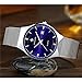 WWOOR Men's Analog Quartz Watch Ultra Thin Dial Date Stainless Steel Mesh Belt Waterproof (Blue)