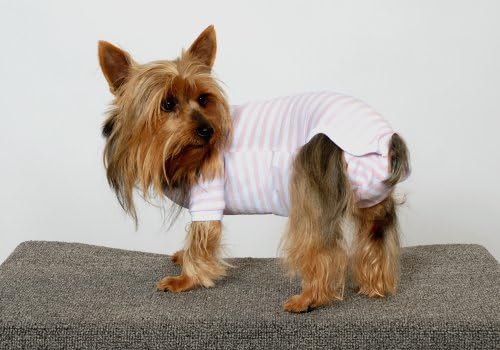 male dog shirts