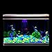 Solar 100 Pcs Colorful Glowing Stones, Glowing Garden Resin Pebbles,Garden Decor Glowing Stones Luminous Rocks for Outdoor Walkway Driveway,Luminous Stones for Plants Pot, Fish Tank,Swimming Pool etc
