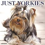Just Yorkies 2020 Wall Calendar (Dog Breed Calendar) by 
