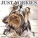 Just Yorkies 2020 Wall Calendar (Dog Breed Calendar) by 
