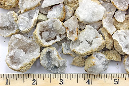25 Break Your Own Geodes, 90% Hollow-Small ( 1-1.5') Crack Open & Discover Amazing Surprise Crystals Inside! Educational Info and Instructions Included, Fun Party Favors & Prizes, Dancing Bear Brand