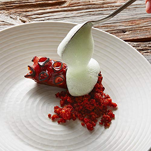 Texturestar Pure Soy Lecithin Powder for Cooking and Baking, 800g 100