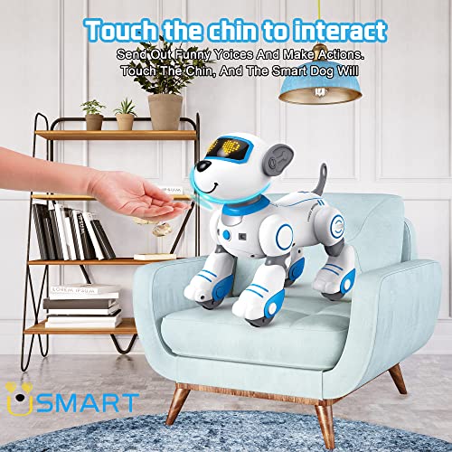 usmart Remote Control Robot Dog Toy for Kids，RC Robot Dog with Voice