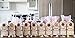 Amish Country Popcorn- 10 (1 Lb Bag) Variety Gift Set Bundle with Recipe Guide (Red, Blue, Medium White, Midnight Blue, Purple, Ladyfinger, Baby White, Rainbow, Extra Large Caramel Type, and Mushroom)
