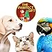 Bona Fide Beauty Pet Nail File Made of Czech Glass, Quiet and Painless Pet Nail Filer for Small Dogs, Cats, Birds, and Rabbits