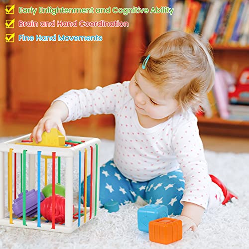 Zooawa Baby Montessori Toys, Sensory Toy for Autistic Baby Toddler Toy