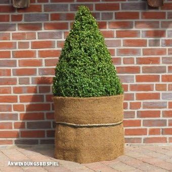 Videx Winterschutz Kokosmatte Extrem Starke Ca 2cm Natur 50 X 150cm Amazon De Garten