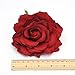 Ever Fairy Rose Flower Hair Clip Slide Flamenco Dancer Pin up Flower Brooch(10 pack)(10 Color Pack C)