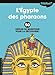 L'Egypte des pharaons : 50 drôles de questions pour la découvrir by 