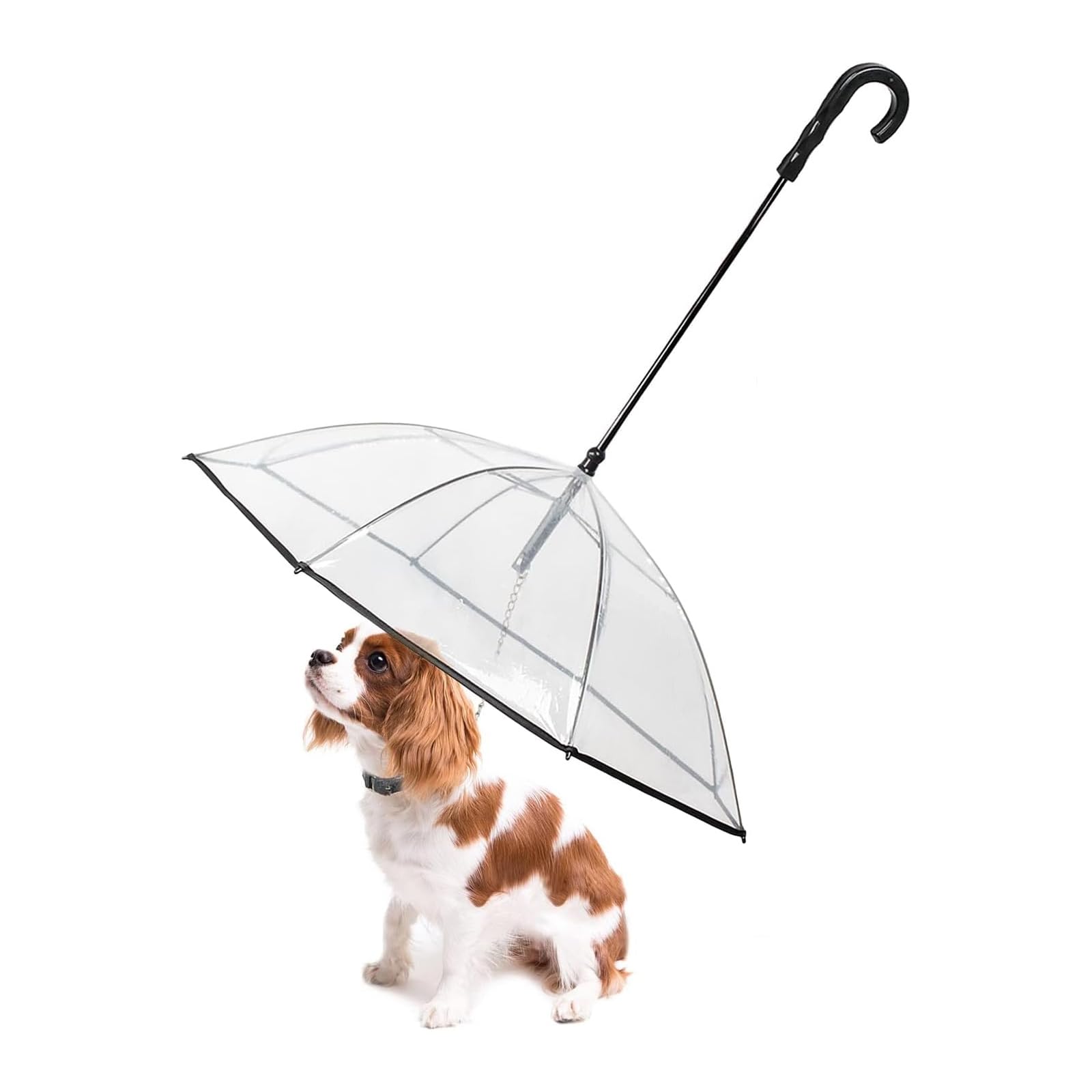 Photo 1 of LESYPET Small Dog Umbrella, 29" Width Clear Dogs Umbrella Waterproof Dog Raincoat with Leash for Outdoor Walking Rainy Days