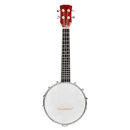 4 String Banjo Kit 4 String Banjo Kit