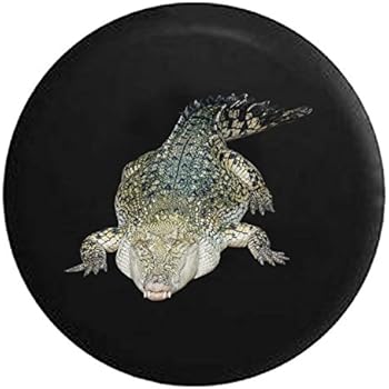 Amazon.com: Alligator Crocodile Florida Swamp King Spare