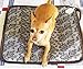 Pet Heating Pad Cat Heating Mat Waterproof Pets Heated Bed Adjustable Dog Bed Warmer Electric Heating Mat with Chew Resistant Steel Cord (17.7x17.7, Flower)