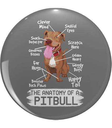 Pin De Perro American Bully