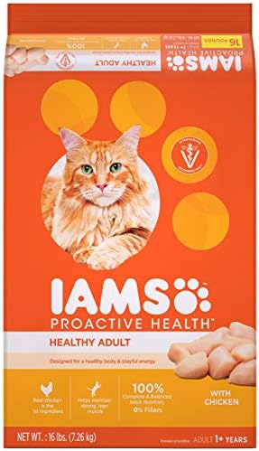 petsmart iams kitten food