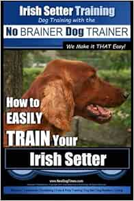 irish setter training