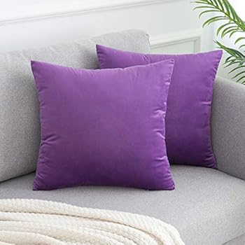 WLNUI Soft Velvet Lavender Purple Throw Pillow Covers Set of 2 Decorative Pillow Case Square Cushion Cover for Sofa Couch Home Farmhouse Decor 18x18 Inch 45x45 cm