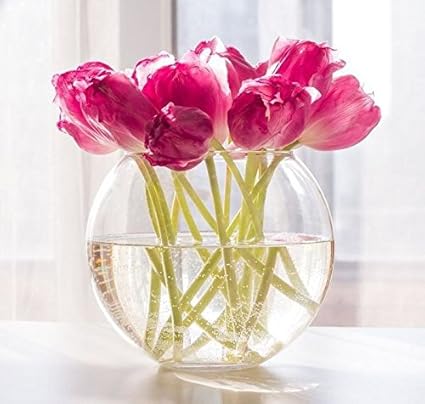 Clear Glass Round Sphere Bowl Flower Vase 16 X 8 Cm Floating