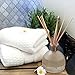 MINX Fragrances White Tea Scented Oil Reed Diffuser Gift Set Beautiful Gift Box! Relaxing Fragrance Oil Diffuser | Unique Gift Idea! Large 6.5 oz | Made in The USA