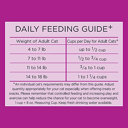 Whiskas Meaty Selections Chicken And Turkey Flavors Dry Cat Food 6 Pounds (Discontinued By Manufacturer)