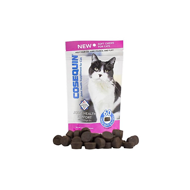 Cat Medicine Cat Crazy Cat Products Shop