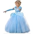 CQDY Sleeping Beauty Princess Aurora Party Girls Costume Dress Fancy Halloween Cosplay Dress Up