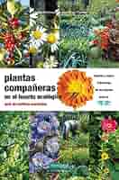 Plantas compañeras del huerto: guía de cultivos asociados: 16 ...