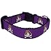 NCAA Dog Collar