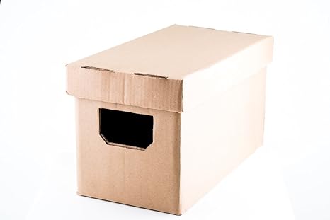 7 Vinilos transporte y almacenaje Singles Caja de cartón: Amazon.es: Instrumentos musicales