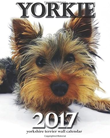Yorkie 2017 Yorkshire Terrier Wall Calendar Paperback – November 25, 2016