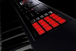 Roland FA-08 88-Key Workstation