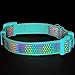 Blueberry Pet 13 Patterns Magic Rainbow Color Reflective Polka Dot Holo Dog Collar in Mint Blue, Medium, Neck 14.5