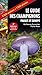 Guide des champignons France et Europe by 