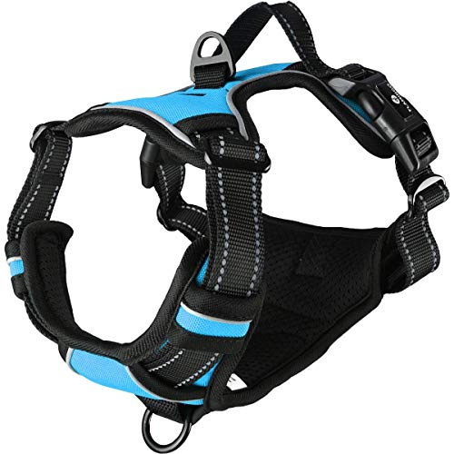Flamingo Hundegeschirr - hundegeschirr mittelgroße Hunde - 32–56cm A. Brust / 50–65cm B. Bauch Harness Balou Blau M
