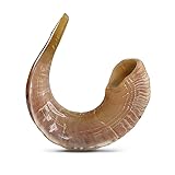 Hasofrim Traditional Ram Horn