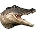 Life Size Alligator Crocodile Head w/ Teeth