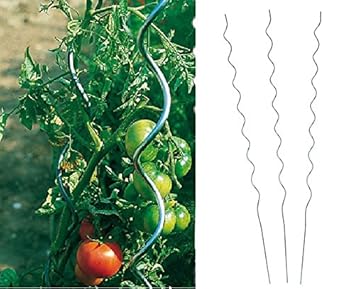Benelando® Tomaten-Spiralstab 180cm Stahl verzinkt - 2. Wahl (25)
