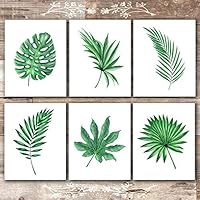 Tropical Leaves Wall Decor Art Prints - Botanical Prints Wall Art - (Set of 6) - Unframed - 8x10s