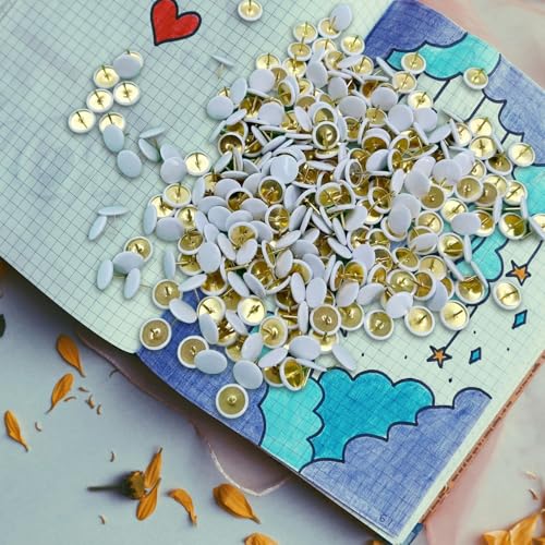 YSDINK 300 Pieces Multicoloured Push Pins – 10 x 10 mm Pins for Cork Board and Notices, Ideal for Office and Home (White)