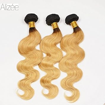 Amazon Com Alizee 3 Bundles Ombre Two Tone Color 1b 27 Dark