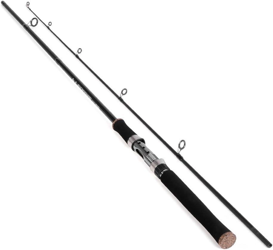 fishing rod price in amazon