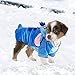 Gimilife Pet Costume, Dog Hoodie,Pet Xmas Pajamas Outfit, Pet Coat for Small Medium Large Dogs and Cats,Pet Disney Stitch Cartoon,Halloween and Winter XL