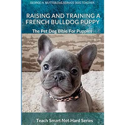 Buy Raising And Training A French Bulldog Puppy The Pet Dog Bible For Puppies Teach Smart Not Hard Paperback May 20 2020 Online In Turkey B088y8mwg3