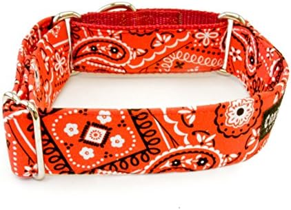 Caninus Collars Red Bandana Paisley - 5/8" - 2" Width Dog Collar - Buckle & Martingale