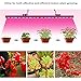 LED Plant Grow Light, Topled Light 16.4ft Grow Strip Light with Rotate Dimmer for Indoor Plants, Full Spectrum SMD 5050 Red Blue 4:1 Growing Rope Light for Aquarium Greenhouse Hydroponic(16.4ft)