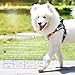 Medium Dog Harness (2nd GEN ),Black Front and Back Lead dog Harness Durable with Handle and 2 D Ring for Puppy ,Small Medium Dog Pet Supplies by Bondpaw