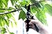 Pruning Shears Extra Hardness Extra Sharp Tree Clippers Garden Hand Pruners - Cutting Easier Ergonomic, Comfortable Slip-Less Effort, Gardening Scissors